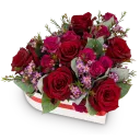 Magenta Love